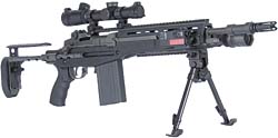 STAR M14 SOPMOD